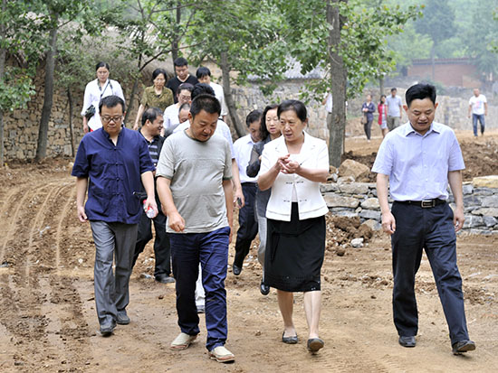 市人大常委会民侨外工委组织代表视察代表议案、建议办理进展情况