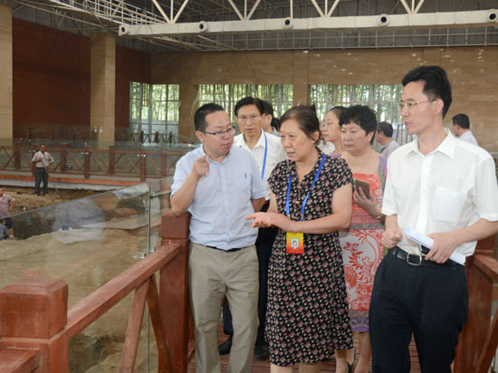 市人大常委会教科文卫代表专业组调研我市大遗址保护工作