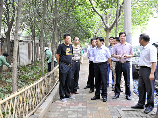 市人大常委会督导二七区黄土裸露整治情况