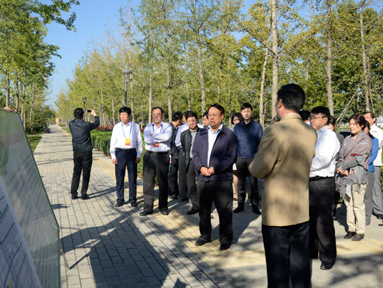 市人大常委会视察我市生态廊道和公园建设情况