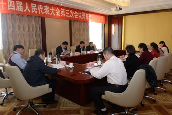 市十四届人大三次会议分团审议两院工作报告掠影（五）
