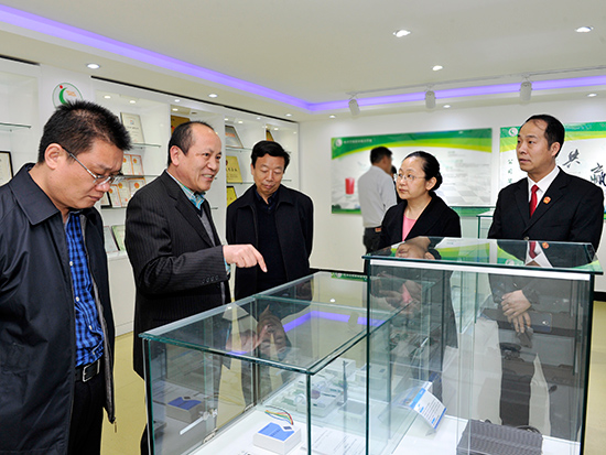 市人大常委会视察我市知识产权专利保护工作情况