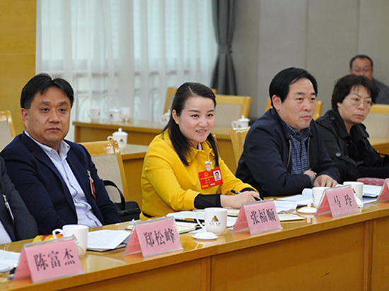 市人大代表分团审议政府工作报告