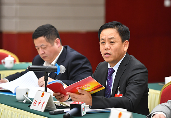 人大代表分团审议