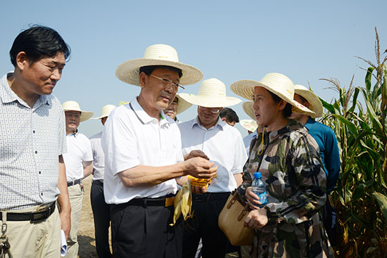 省人大常委会在郑开展种子法一法一办法执法检查及农田水利基本建设情况专题调研