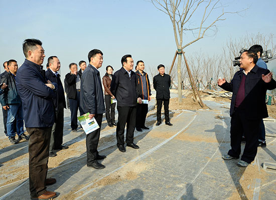 市人大常委会视察我市林业生态建设工作