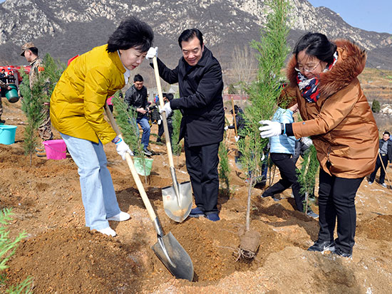郑州市人大常委会组织机关干部到登封义务植树