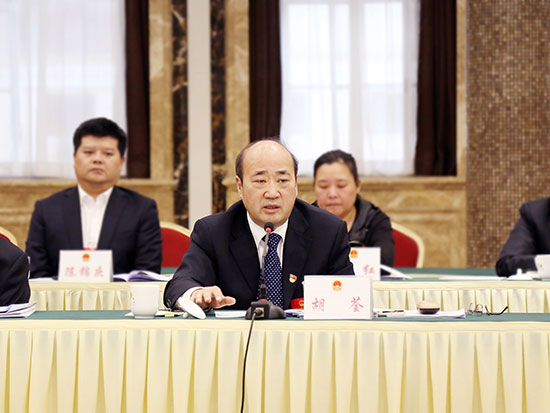 市人大常委会党组书记胡荃参加中原代表团审议
