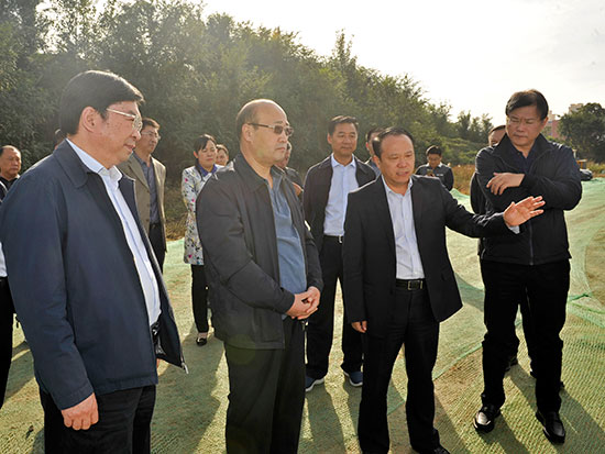 市人大常委会主任胡荃调研中原区国家中心城市建设和人大工作
