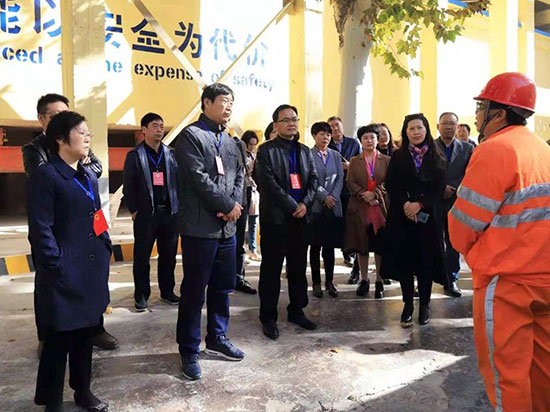 上街区人大常委会视察大气污染防治工作