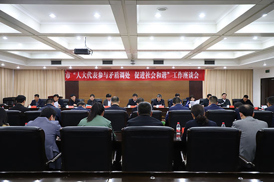 履职尽责勇担当主动作为促和谐——巩义市人大常委会召开“人大代表参与矛盾调处促进社会和谐”工作座谈会
