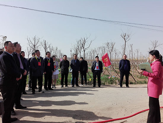 郑州市人大代表到新郑视察国土绿化提速行动工作