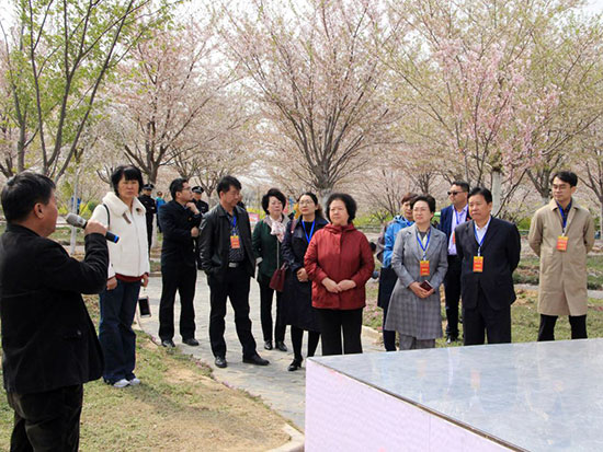 驻高新区郑州市人大代表集中视察荥阳市国土绿化提速工作