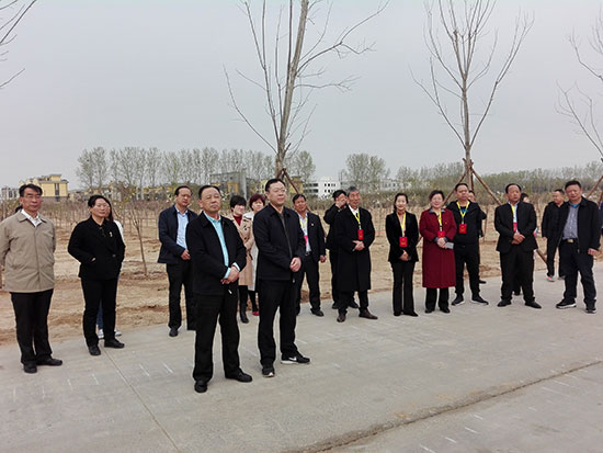 新郑市组织部分郑州市人大代表到惠济区视察国土绿化提速行动工作