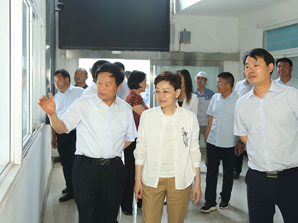新密市人大常委会对三项工作开展调研