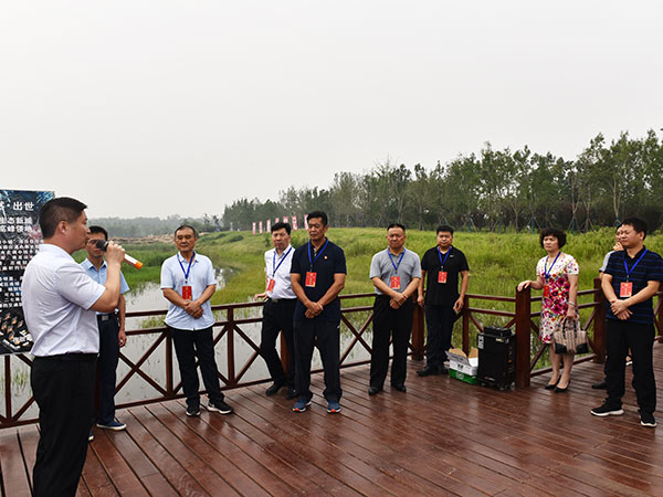 中原区人大常委会对生态水系建设工作开展情况进行视察