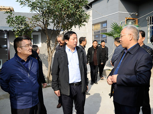 郑州市人大常委会视察我市乡村振兴战略实施工作