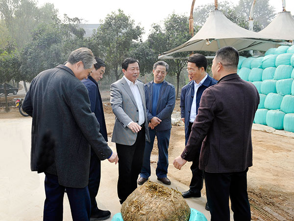 市人大常委会视察我市农作物秸杆禁烧和综合利用工作