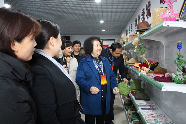 荥阳市人大常委会组织常委会组成人员、驻荥郑州市人大代表集中视察