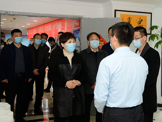 市人大常委会副主任孙黎到二七区调研督导“三送一强”工作