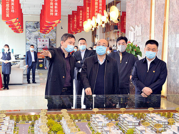 市人大常委会主任胡荃调研华南城二期项目推进情况
