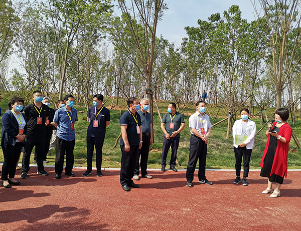 新郑市人大常委会视察国土绿化工作