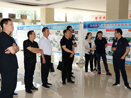 二七区人大常委会组织开展“助力乡村振兴，人大代表在行动”调研活动