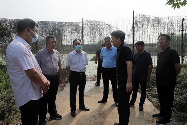 消除积水点，让“出门看海”成为过去时——惠济区人大常委会集中视察防汛工作
