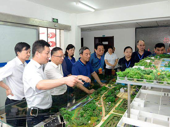 市人大常委会视察我市上年度环境状况和环境保护目标完成及本年度大气污染防治情况