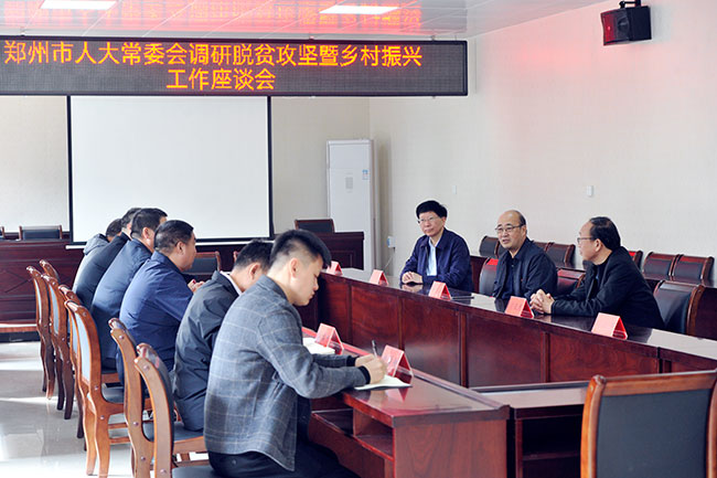 市人大常委会主任胡荃到巩义调研驻村扶贫工作