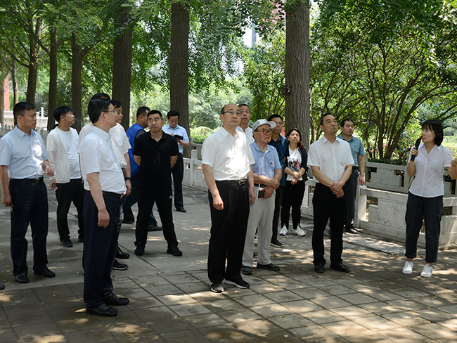 市人大常委会调研我市古树名木保护工作