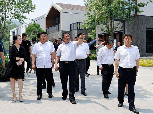 市人大常委会副主任袁三军调研重点项目和美丽乡村建设情况