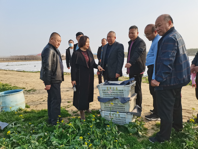 新郑市人大常委会调研现代农业示范园建设情况