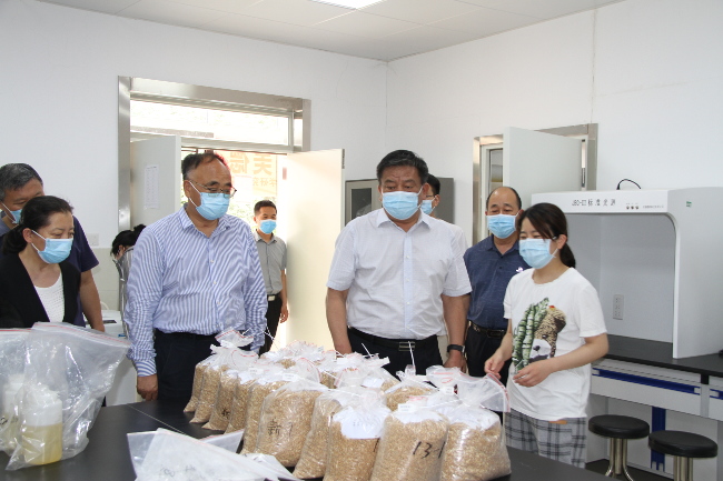 市人大常委会党组成员、一级巡视员袁三军赴市粮食和物资储备局调研我市粮食安全和储备工作
