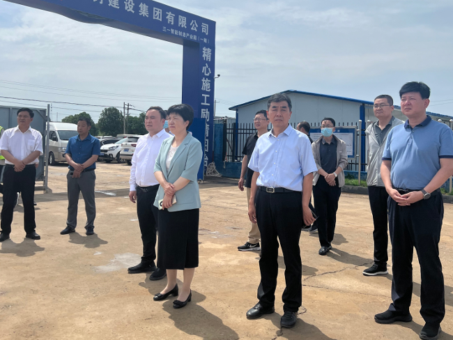 宋洁副主任调研“三个一批”项目建设活动和“保交楼”工作