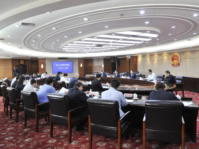 市人大常委会党组（扩大）会议召开——从严从紧开展党纪学习教育凝心聚力推动人大工作高质量发展