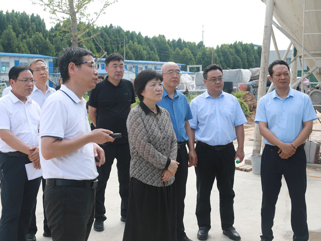 宋洁副主任调研我市重点项目建设情况