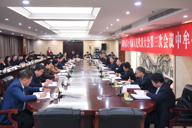 何雄参加中牟代表团审议