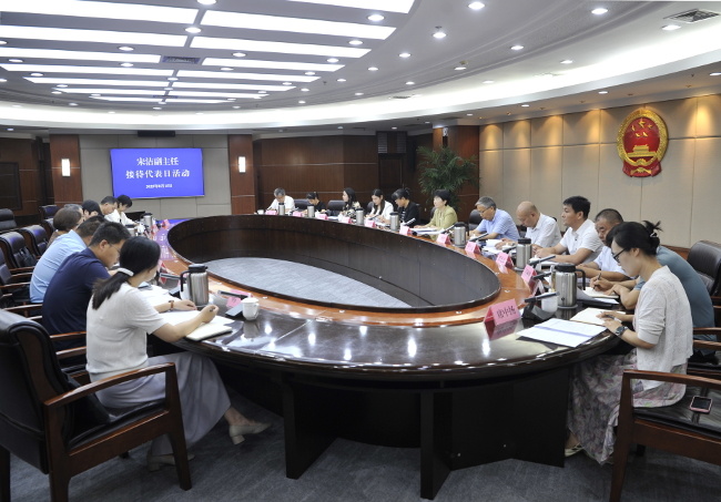 市人大常委会副主任宋洁开展接待代表日活动