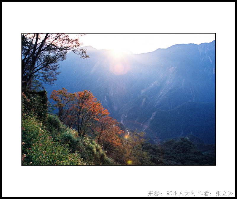 阿里山晨曦 (大图) 点击还原