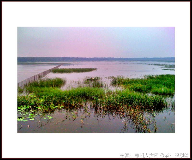 水草 (大图) 点击还原