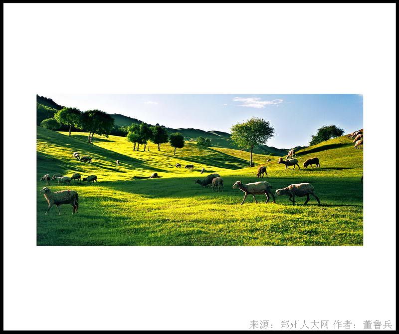 草原 (大图) 点击还原