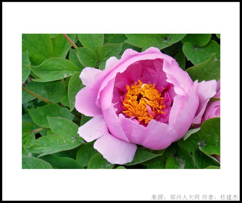 略展风采 (大图) 点击还原