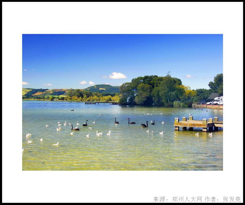 和平相处 (大图) 点击还原