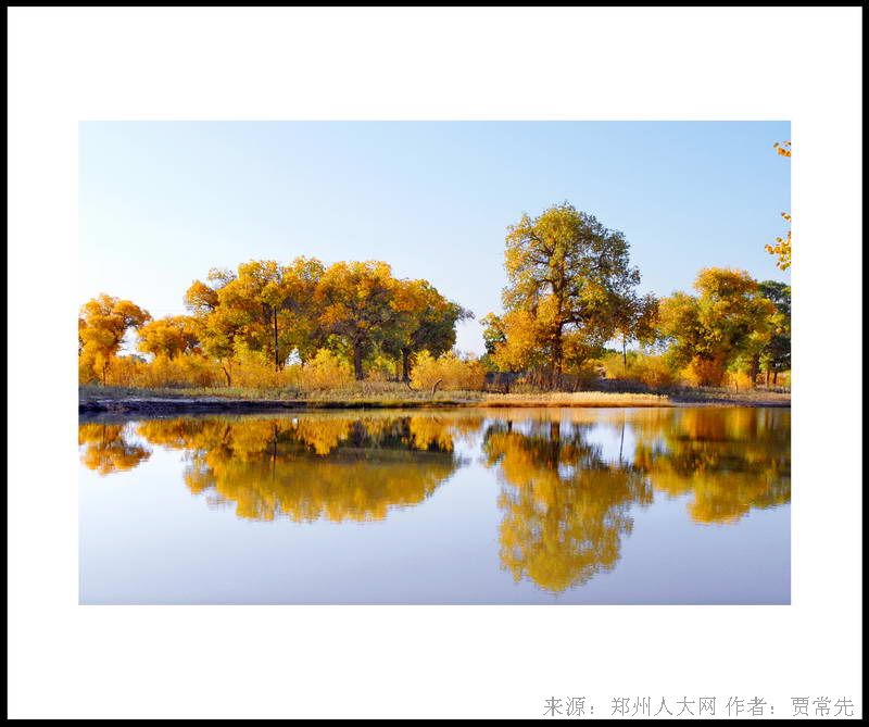 秋韵 (大图) 点击还原