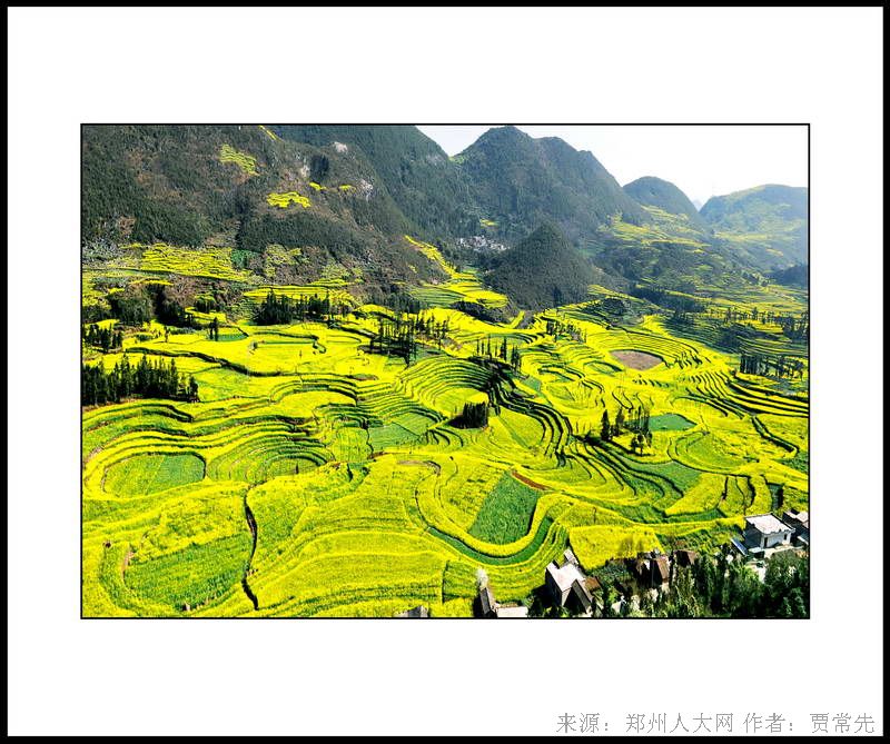 梯田 (大图) 点击还原