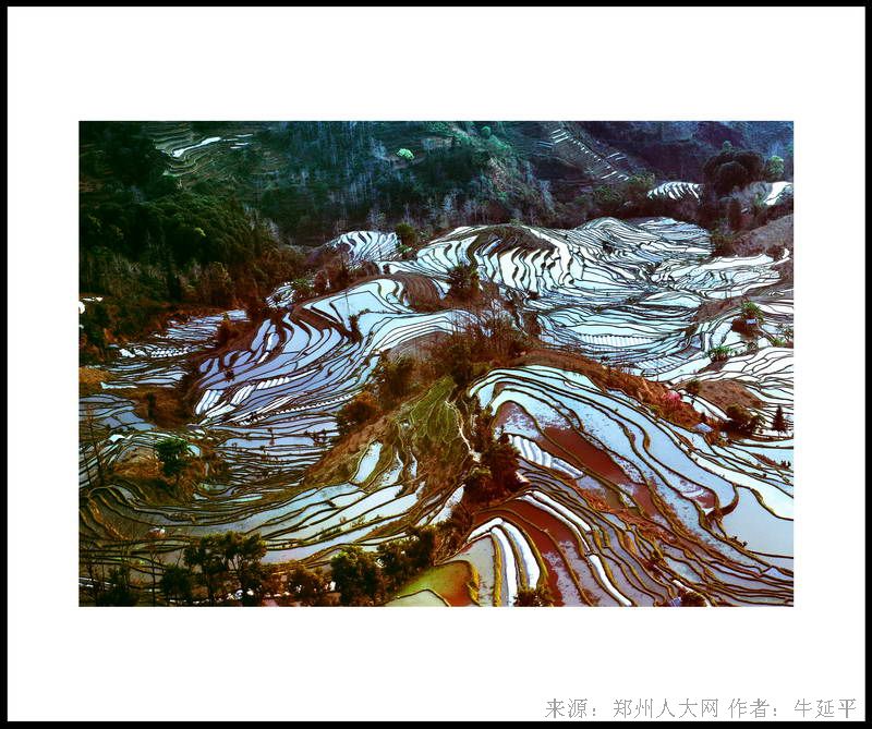 大自然的纹理 (大图) 点击还原
