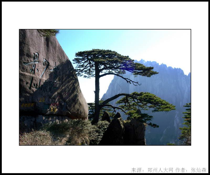 松 (大图) 点击还原