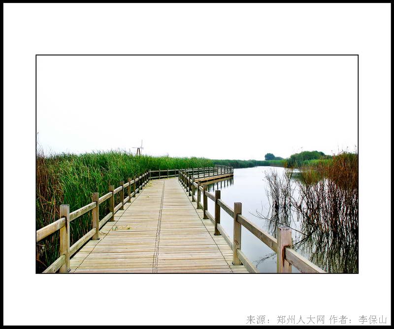 桥 (大图) 点击还原