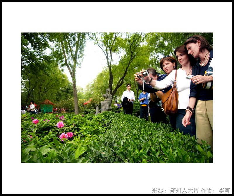 赏花 (大图) 点击还原